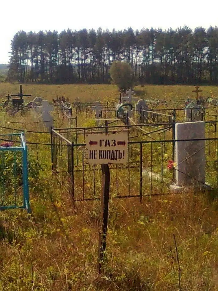 Неожиданно-сумасшедшие ситуации, к которым вас не готовила жизнь Неожиданно-сумасшедшие ситуации, к которым вас не готовила жизнь