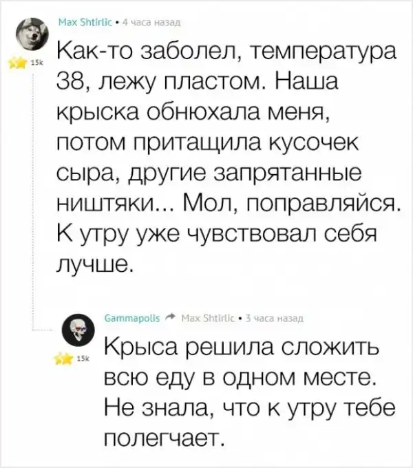 20 шуток от людей, чье чувство юмора черно как ночь