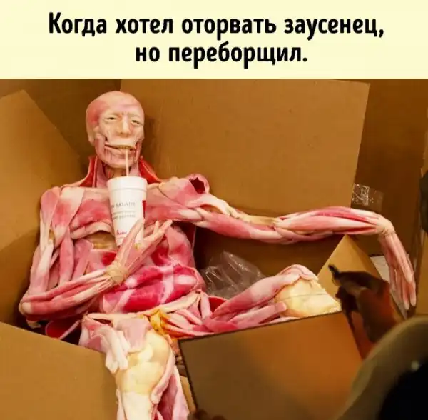 20 шуток от людей, чье чувство юмора черно как ночь