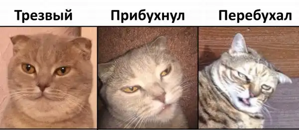 АЛКОГОЛИЗМА ПОСТ (ЧАСТЬ 43)