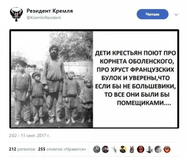 О политике + 242