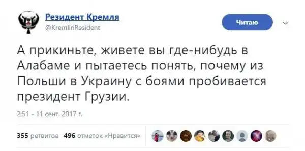 О политике + 242