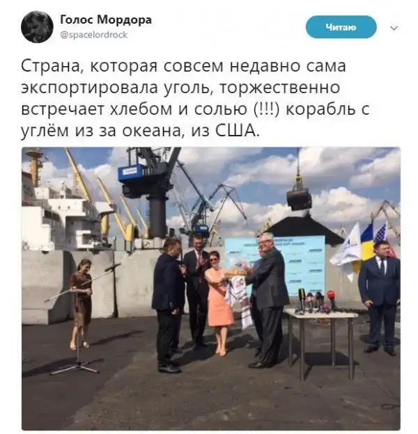 О политике + 244