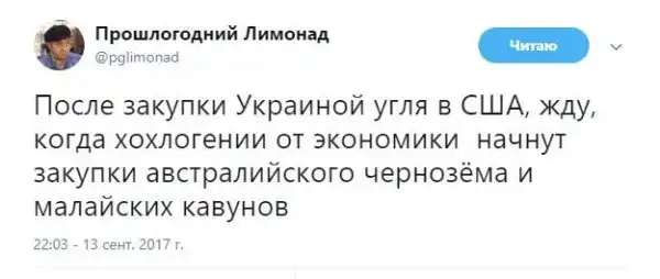 О политике + 244