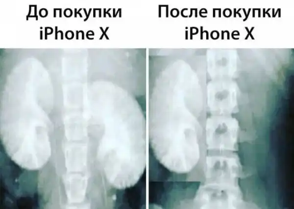 Прикольные картинки с надписями