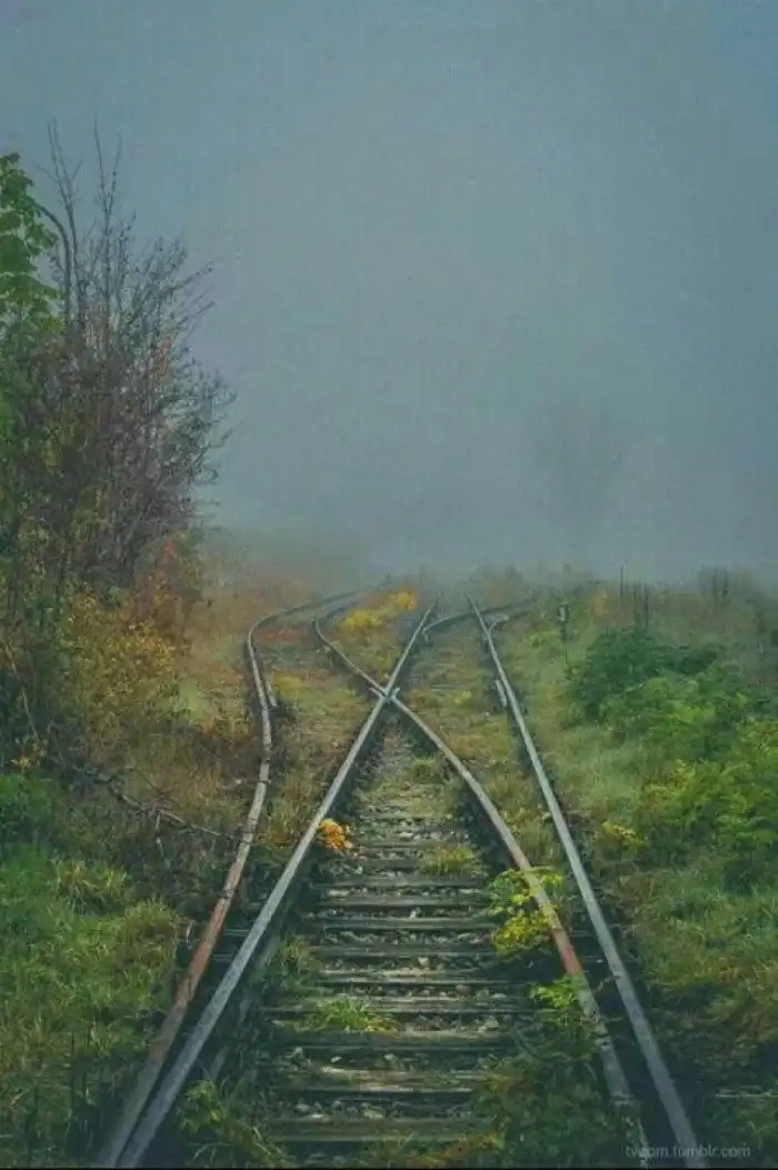 Просто фото.