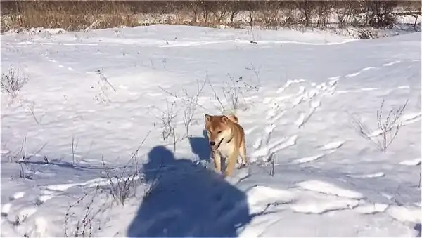 Это фиаско братан!