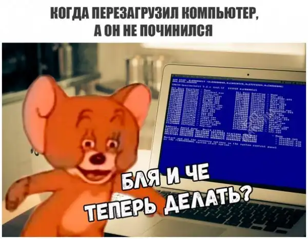 Журнал школьный деградант