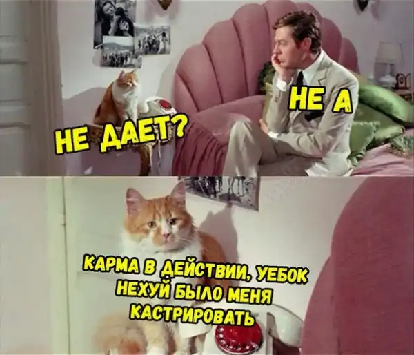 Записки сумасшедшего школьника