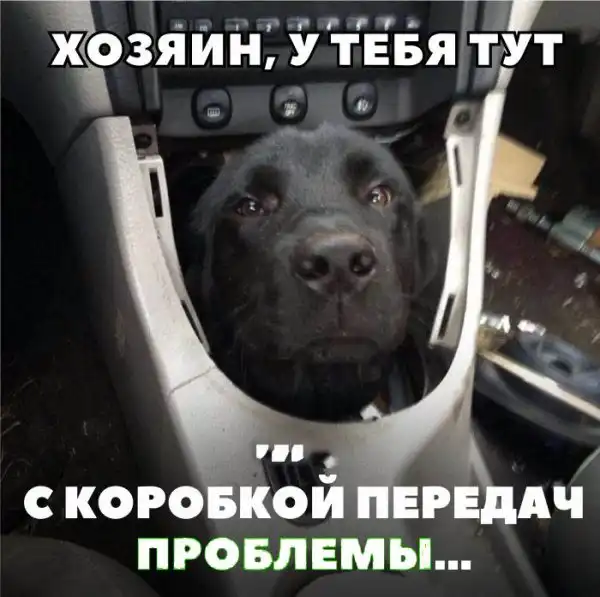 Подборка автомобильных приколов