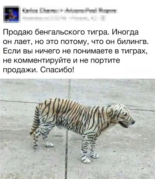 20 шуток от людей, чье чувство юмора черно как ночь