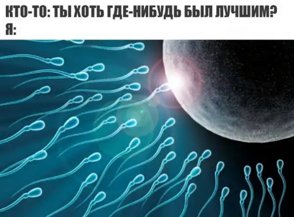 Записки сумасшедшего школьника