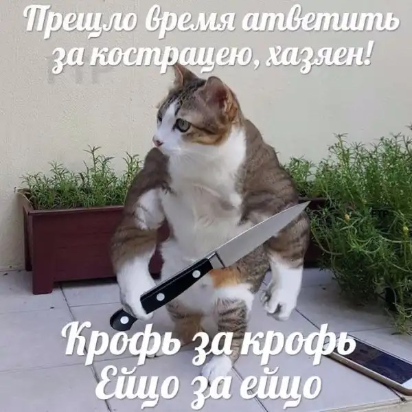 Нестандартный юмор :)