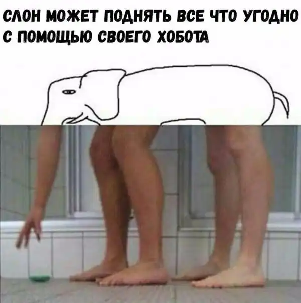 Обеденные приколы :)