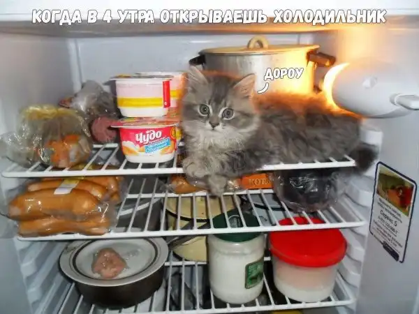 Обеденные приколы :)