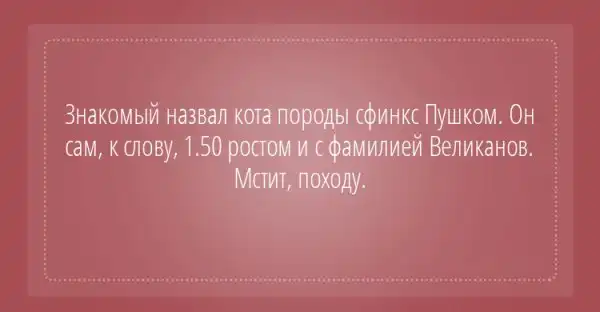 25 открыток с отборным юмором