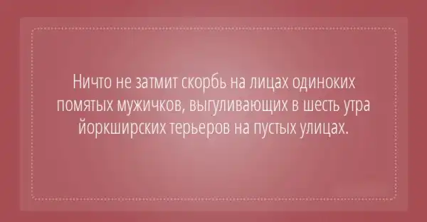 25 открыток с отборным юмором