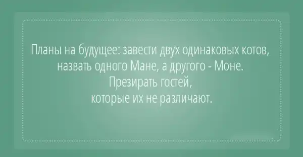 25 открыток с отборным юмором