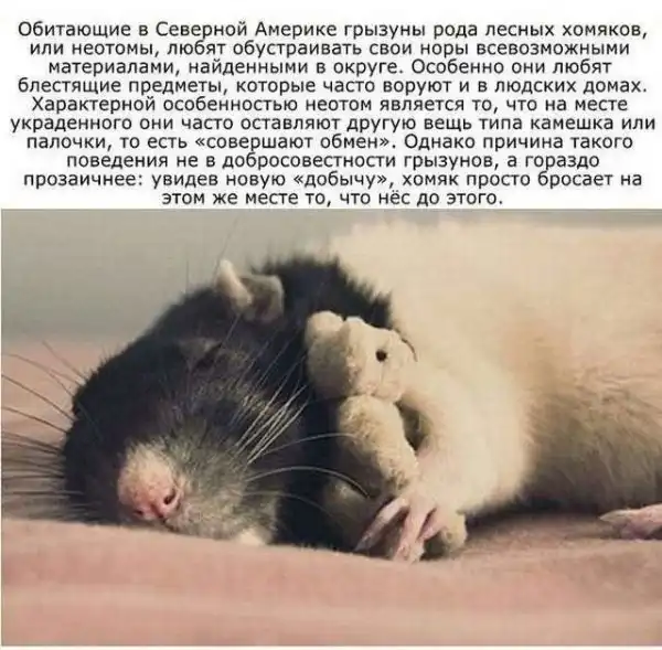 Познавательные факты обо всем на свете
