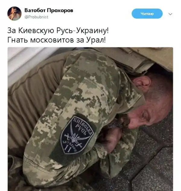 О политике + 256
