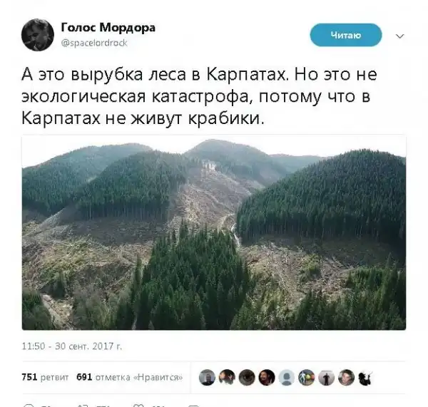 О политике + 256
