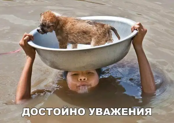 ПРИКОЛЬНЫЕ КАРТИНКИ # 14