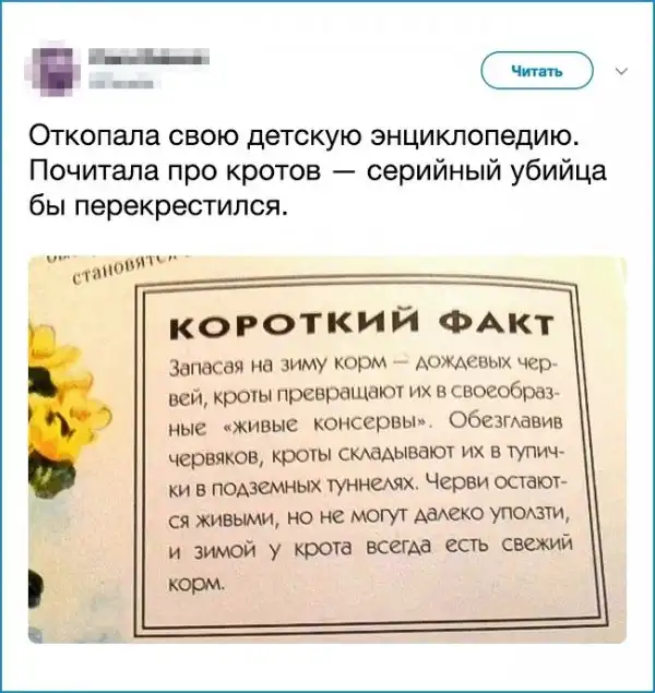 23 примера черного юмора, от которых даже смех и тот ужасен