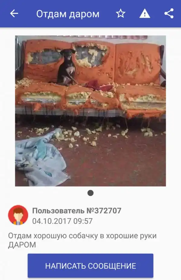 ПОЗИТИВНЫЙ ПОСТ+ 598