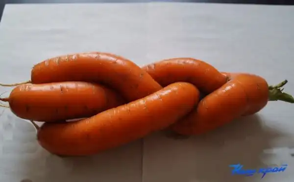 ПОЗИТИВНЫЙ ПОСТ+ 611