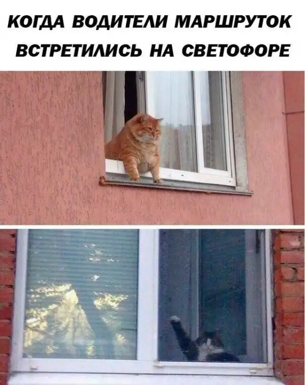 Приколы в стиле "Когда..."