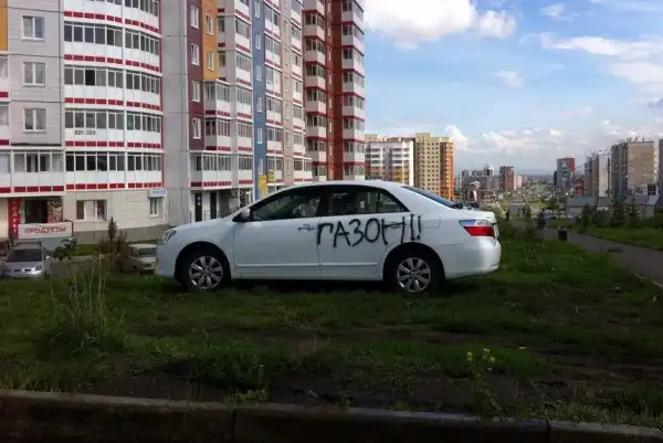 Скотсети и прочие интернеты