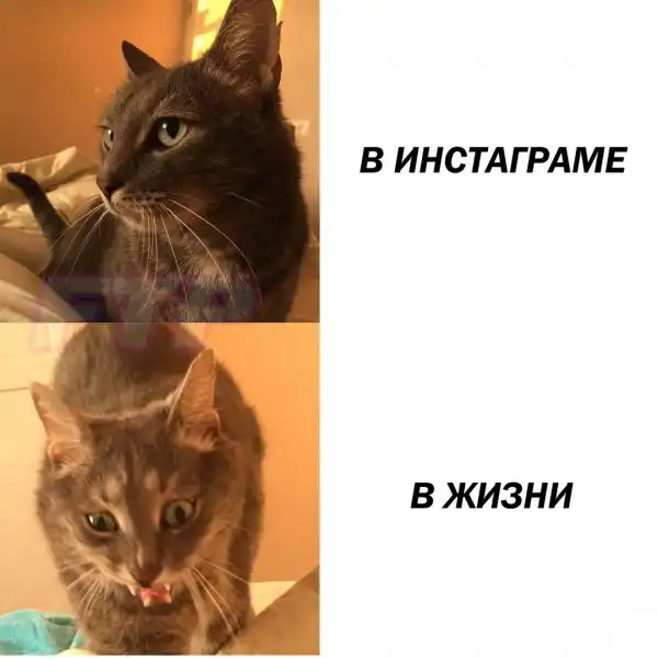 Обеденные приколы :)
