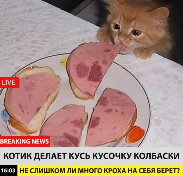 Обеденные приколы :)