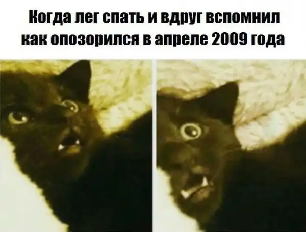Обеденные приколы :)