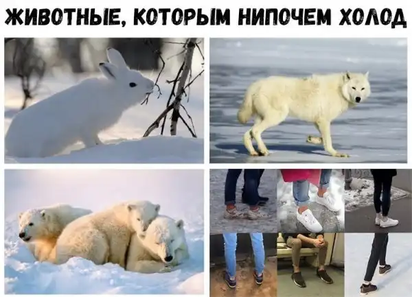 Обеденные приколы :)