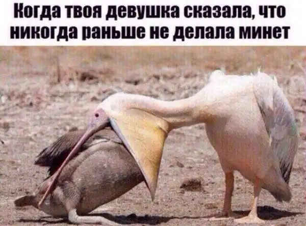 Обеденные приколы :)