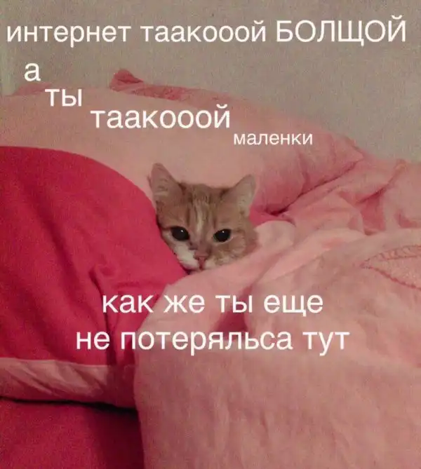 Обеденные приколы :)