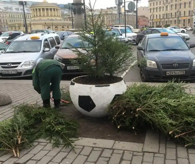 «Озеленение» клумб в Санкт-Петербурге