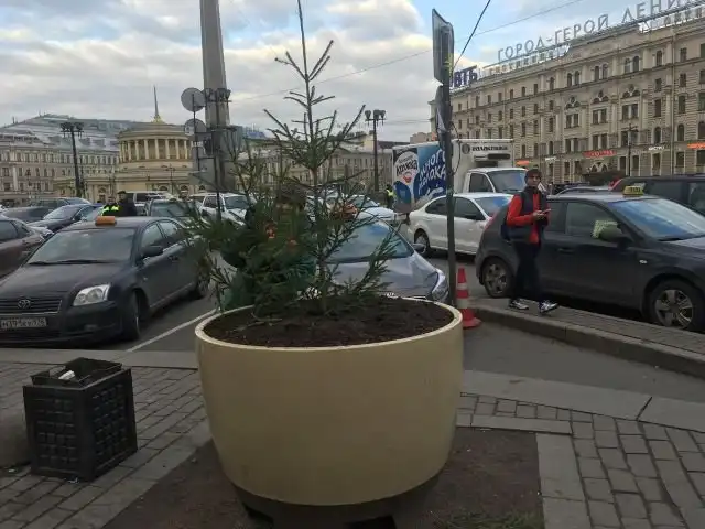«Озеленение» клумб в Санкт-Петербурге