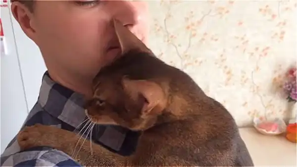 Когда дома ждут