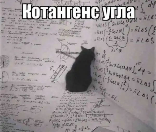 Смешные картинки с подписями