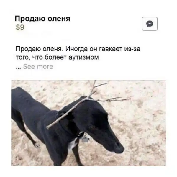 Лёгкий тупёж подкрался незаметно