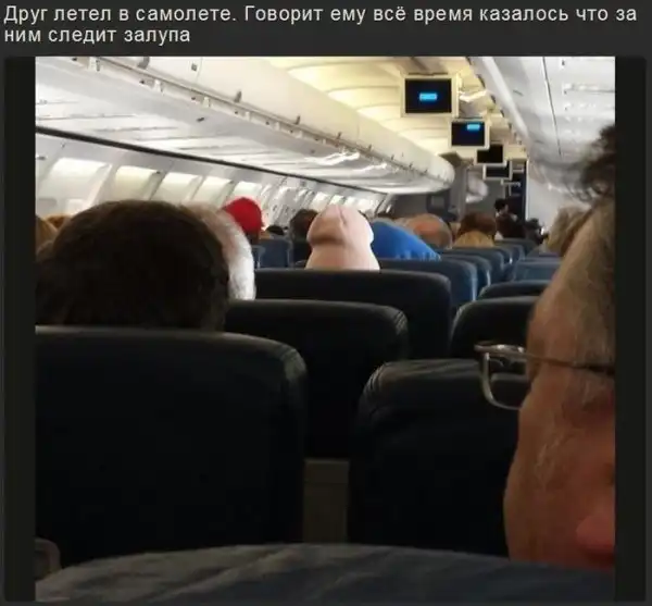 Лёгкий тупёж подкрался незаметно