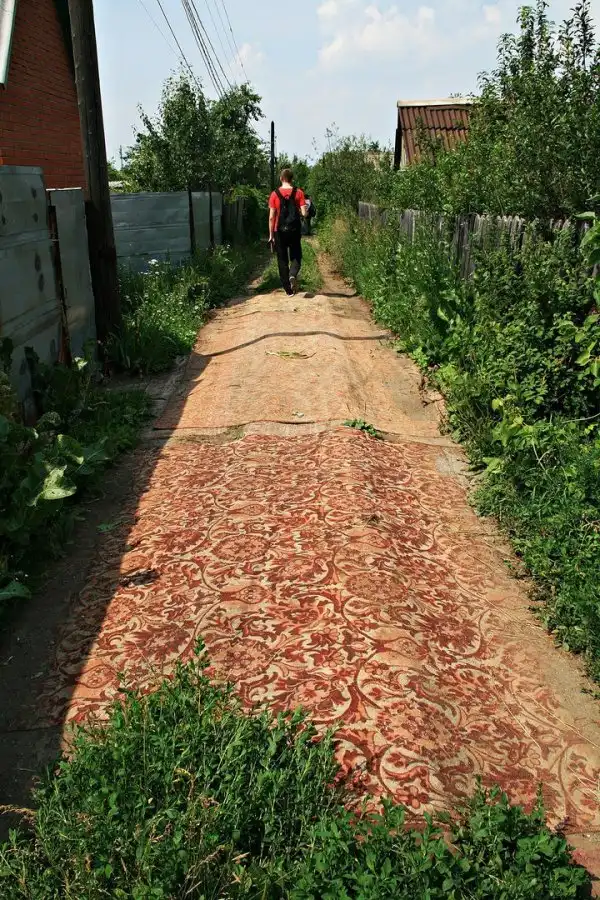 Скотсети и прочие интернеты