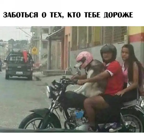 Абсурд и деградация приветствует вас