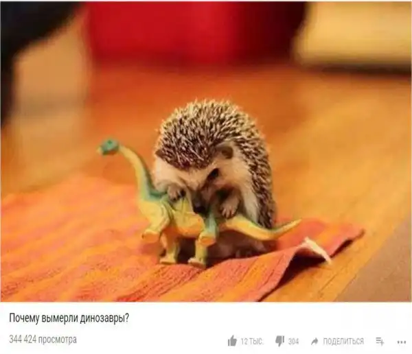 Лёгкий тупёж подкрался незаметно