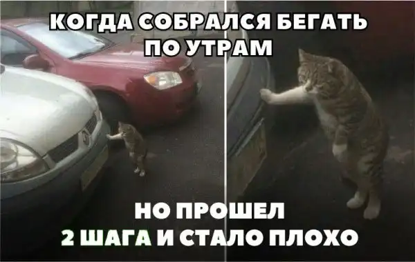 Подборка автомобильных приколов