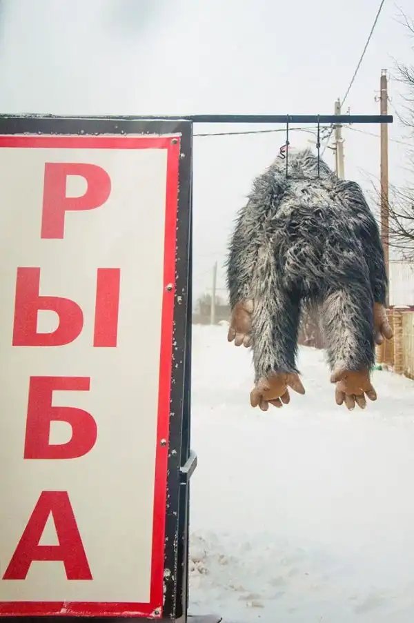 По родным просторам