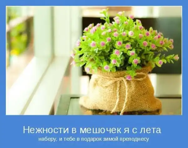 Добрые мотиваторы