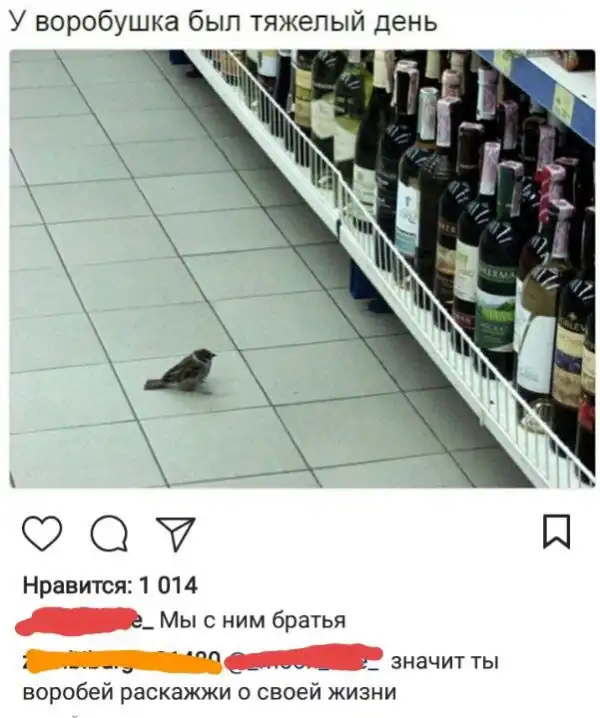 Инстасрам
